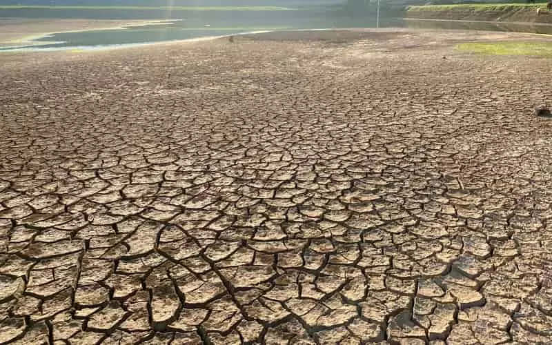 Desmatamento e mudanças climáticas intensificam cheias e secas severas