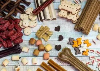 Brasil abre mercado para exportação de pet foods para Taiwan