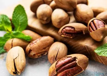 Brasil avança nas negociações para exportar noz-pecã para a China