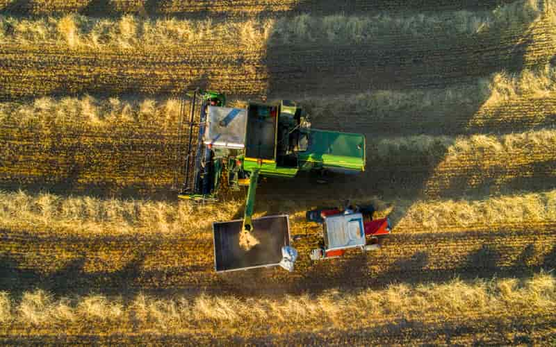 Clima seco limita produtividade do trigo no Paraná, São Paulo e Santa Catarina