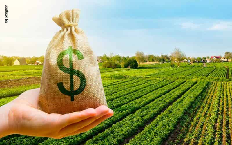 Governo lança Plano Safra com R$ 400,59 bilhões para agricultura empresarial