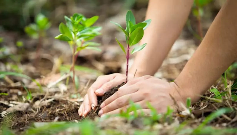 ONU identifica eventos que devem acelerar crise climática mundial; veja 2 Crise climática