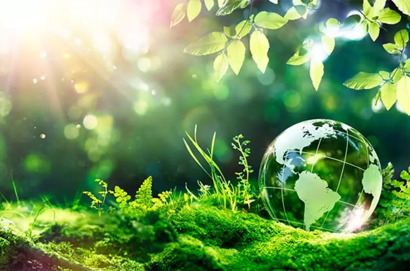 Brasil apresenta na ONU objetivos de desenvolvimento sustentável; confira 1 Desenvolvimento sustentável