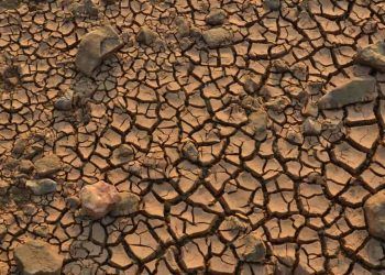 Desmatamento e mudanças climáticas intensificam cheias e secas severas