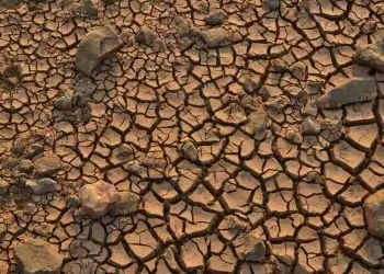 Desmatamento e mudanças climáticas intensificam cheias e secas severas