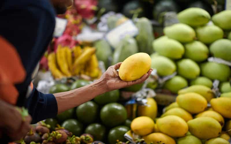 Fruticultura brasileira se destaca nas exportações e celebra recordes históricos