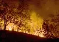 Governo do Amazonas decreta emergência ambiental devido às queimadas