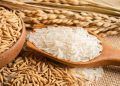 Governo suspende leilão de arroz e opta por negociação para controle de preços