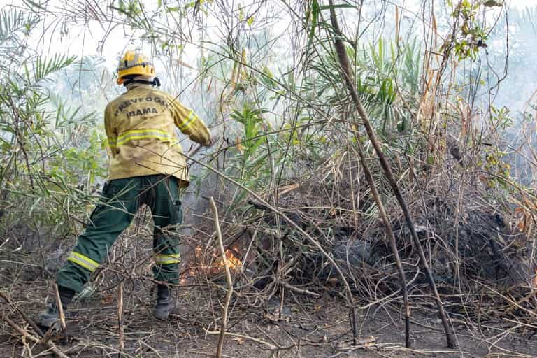 Operação Pantanal mobiliza 700 profissionais para combate às chamas