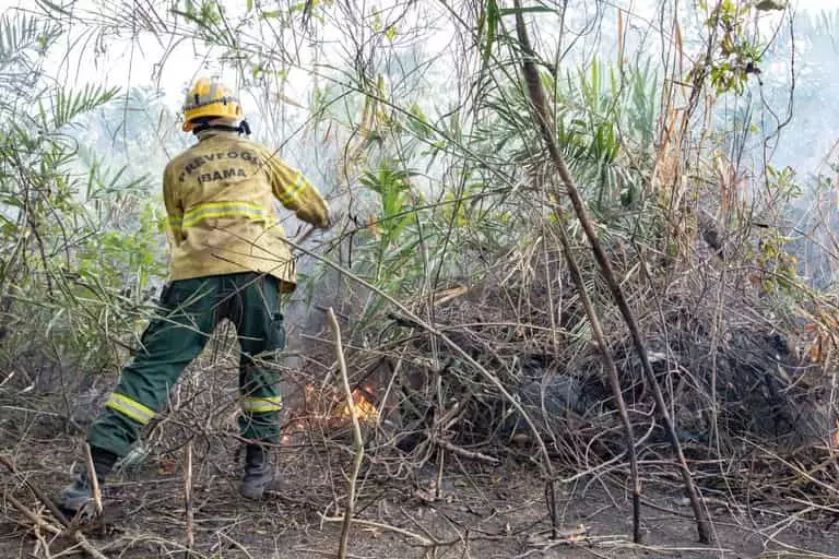 Operação Pantanal mobiliza 700 profissionais para combate às chamas