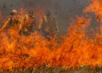 Incêndio no Pantanal: Governo destina R$ 137,6 milhões para combate as chamas