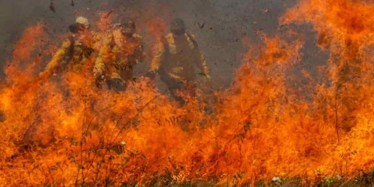 Incêndio no Pantanal: Governo destina R$ 137,6 milhões para combate as chamas