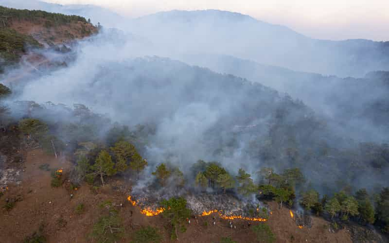 Incêndio no Pantanal: Governo destina R$ 137,6 milhões para combate as chamas