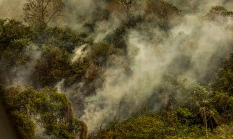 Incêndios no Pantanal 