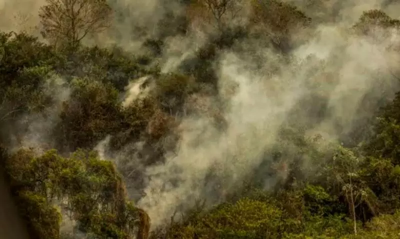 Incêndios no Pantanal 
