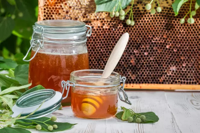 Pesquisa vai avaliar potencial de produção de mel de abelhas em espécies arbóreas 3 Mel