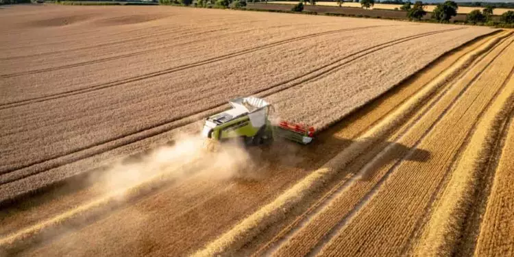 Ministério da Agricultura e Pecuária atualiza preços mínimos para safra 2024/25