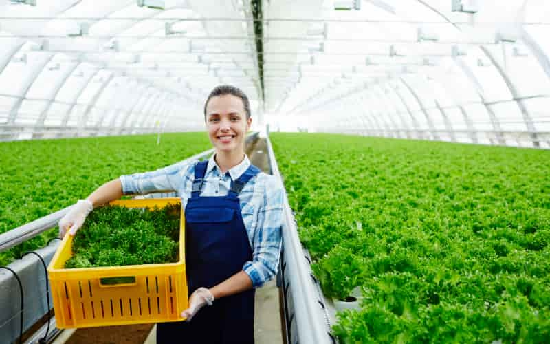 Número de trabalhadores no agronegócio brasileiro alcança 28,6 milhões