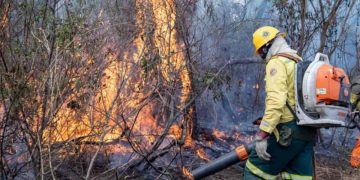 Operação Pantanal mobiliza 700 profissionais para combate às chamas