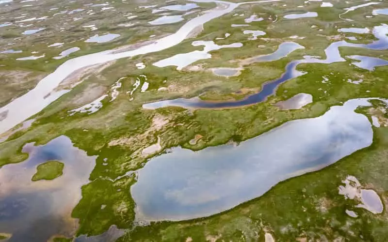 Comissão de Meio Ambiente do Senado aprova Estatuto do Pantanal; veja medidas