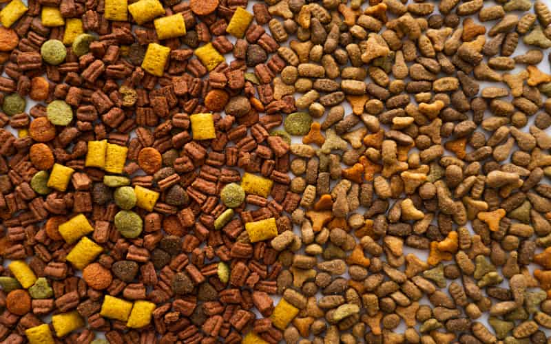 Brasil abre mercado para exportação de pet foods para Taiwan