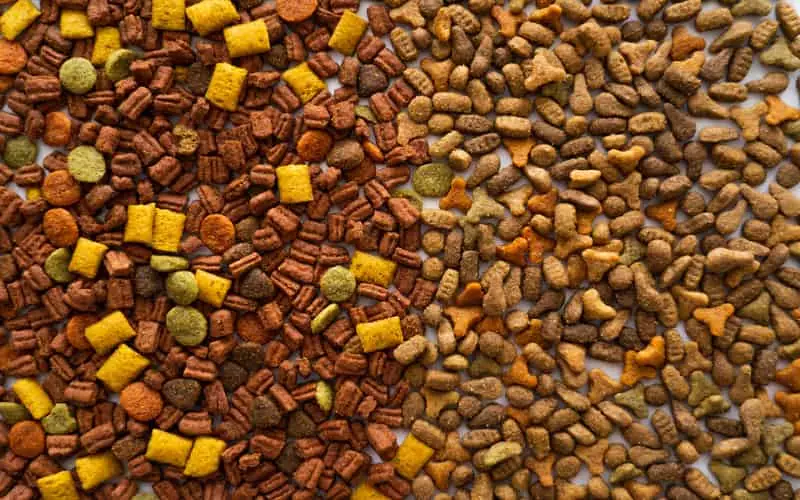 Brasil abre mercado para exportação de pet foods para Taiwan