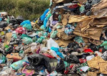 plataforma brasileira permite rastrear a reutilizacao de plastico confira