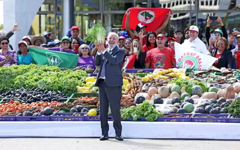 Plano Safra da Agricultura Familiar 2024/25 terá investimento de R$ 76 bilhões