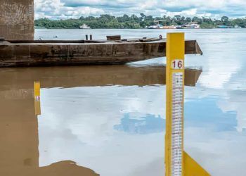 Previsão de seca severa na Amazônia preocupa autoridades