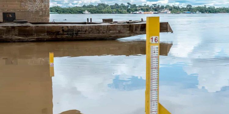 Previsão de seca severa na Amazônia preocupa autoridades