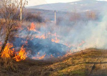 Queimadas: Brasil teve 47 mil quedas de luz causadas por incêndios