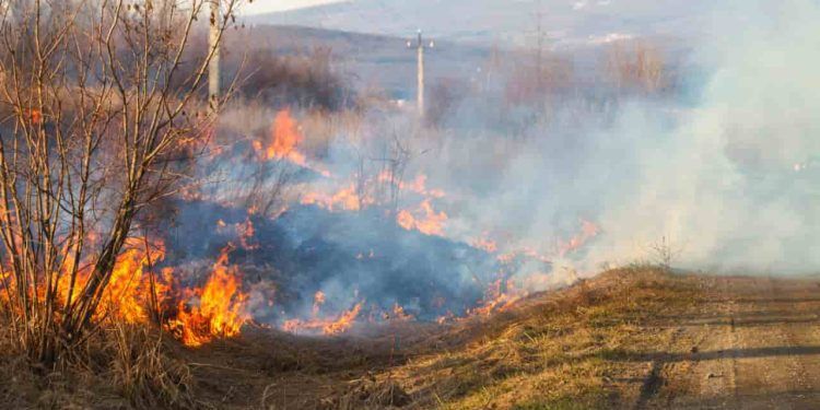 Queimadas: Brasil teve 47 mil quedas de luz causadas por incêndios