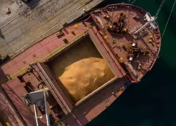 Relatório aponta aumento nas exportações de soja no 1º semestre de 2024