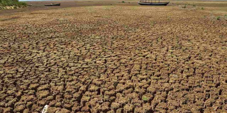 Rio Acre atinge níveis críticos e municípios decretam emergência