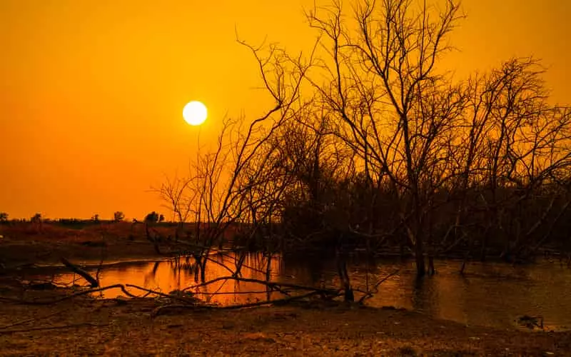 Previsão de seca severa na Amazônia preocupa autoridades 