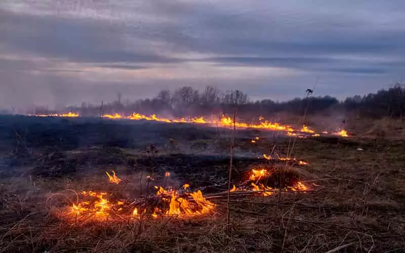 Governo do Amazonas decreta emergência ambiental devido às queimadas 2 Governo do Amazonas decreta emergência ambiental devido às queimadas