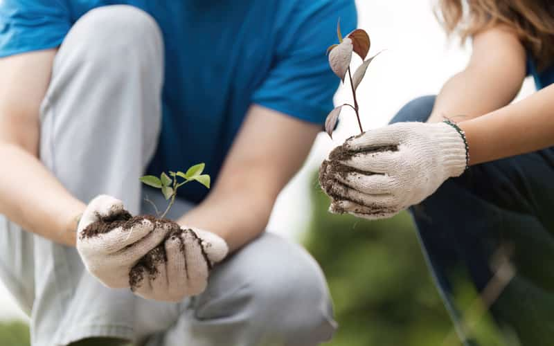 Embrapa oferece curso gratuito sobre conservação do solo e da água; inscreva-se