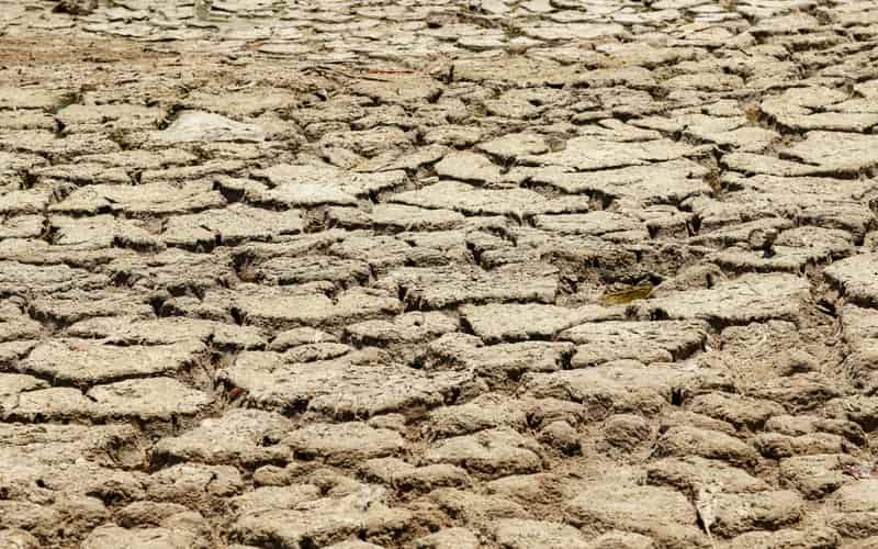 Rio Acre atinge níveis críticos e municípios decretam emergência