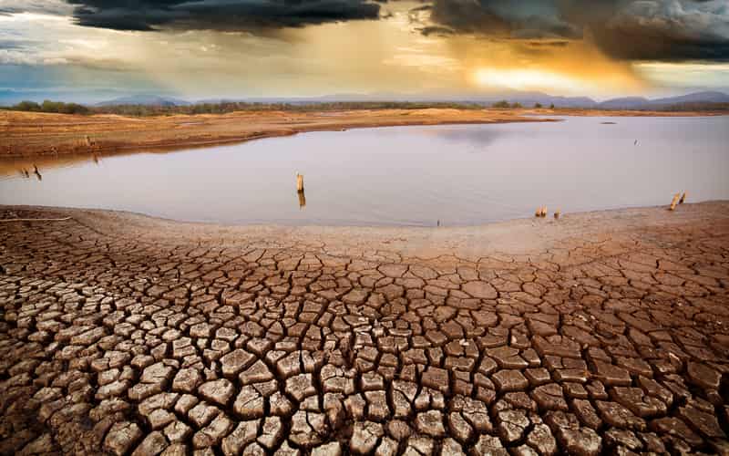 Previsão de seca severa na Amazônia preocupa autoridades 
