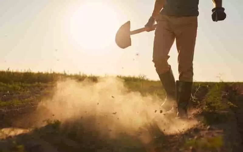 Agropecuária impulsiona geração de empregos e rendimento no 3º trimestre de 2025 3 Número de trabalhadores no agronegócio brasileiro alcança 28,6 milhões