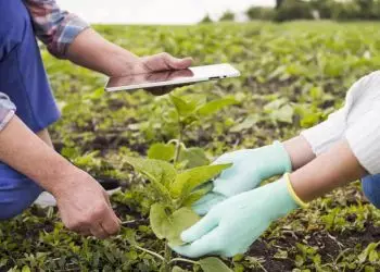 Embrapa oferta curso sobre bioinsumos microbianos; veja como se inscrever