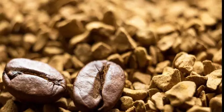 Exportação brasileira atinge 1,91 milhão de sacas de café no 1° semestre de 2024 1 Exportação brasileira atinge 1,91 milhão de sacas de café no 1° semestre de 2024
