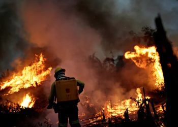 Governo irá concentrar ações em 21 municípios da Amazônia para conter incêndios florestais