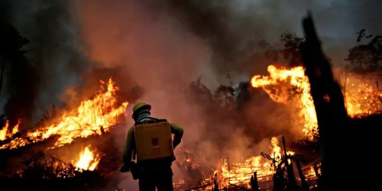 Governo irá concentrar ações em 21 municípios da Amazônia para conter incêndios florestais