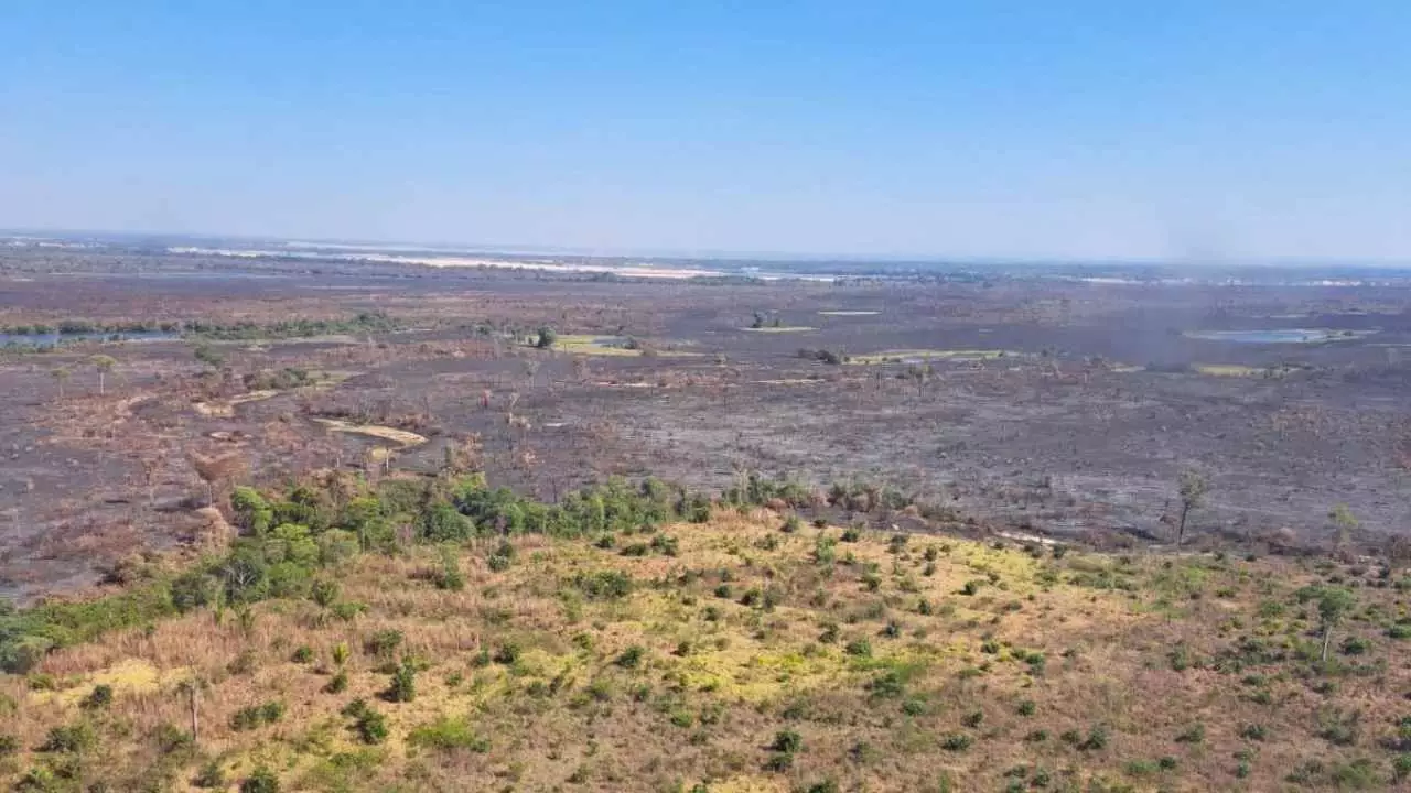 Incêndio em Buritirana deixa trabalhadores rurais feridos, no Tocantins