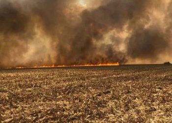 Incêndio de grandes proporções deixa trabalhadores rurais feridos no Tocantins