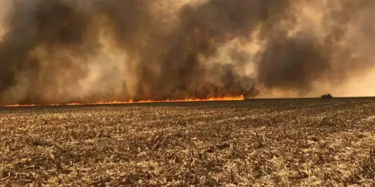 Incêndio de grandes proporções deixa trabalhadores rurais feridos no Tocantins