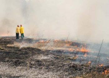 Mais de 80% dos focos de calor em SP estão em áreas de agropecuária; diz Instituto