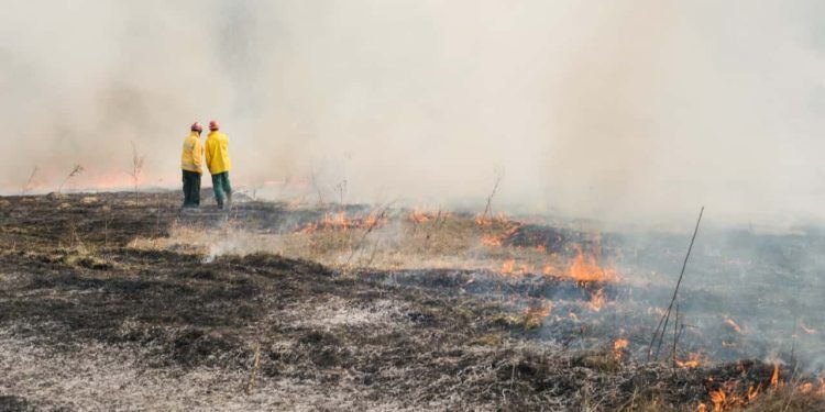 Mais de 80% dos focos de calor em SP estão em áreas de agropecuária; diz Instituto