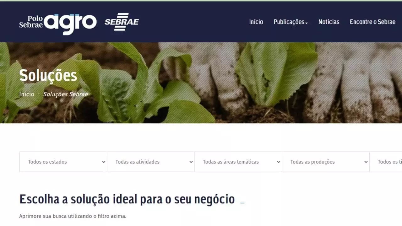 Polo Sebrae Agro traz soluções de gestão, tecnologia e assistência ao produtor 3 Polo incentiva a produzir mais com menos custo, maior competitividade e sustentabilidade.